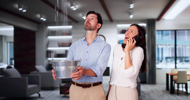 Best Plumbing Leak and Burst Pipe Cleanup in Jacksonville, NC